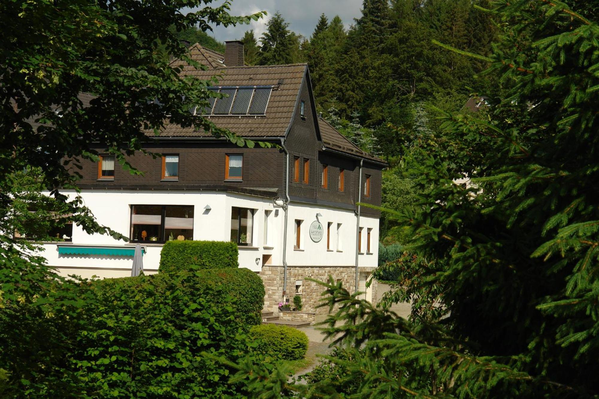 Hotel Haus Hesseberg Medebach Exteriér fotografie